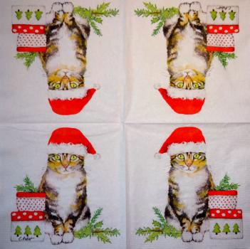 KAT-955 Cats - 3-ply - ppd - Carola Pabst - CS